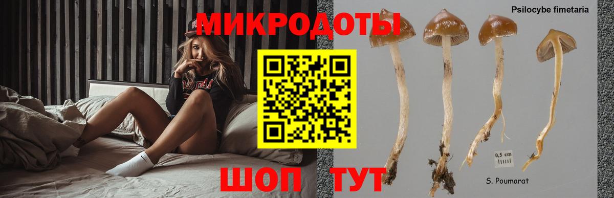 купить   Галлюциногенные грибы Cubensis  Киселёвск  Вход с VPN  Галлюциногенные грибы прущие грибы 